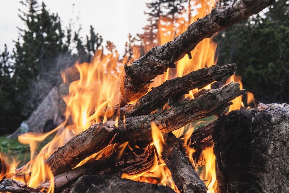  Holzfeuer machen mit nassem Holz
