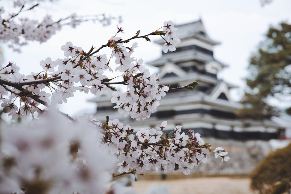 Feuer auf Japanisch heißt 火