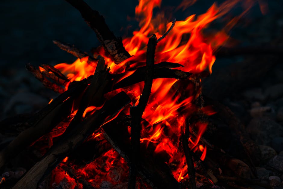 Feuer mit Holz Temperatur