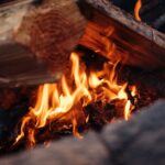 Feuer für Wärme, Kochmöglichkeiten und mehr